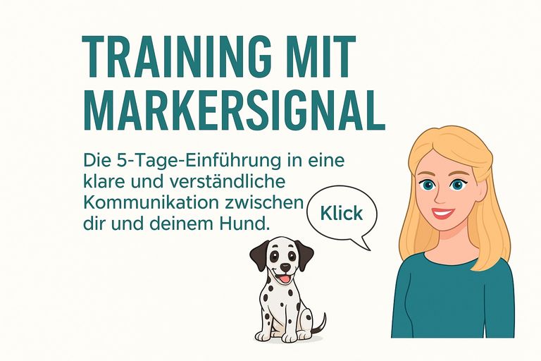 <span data-name="dog" data-type="emoji"><img src="https://cdn.jsdelivr.net/npm/emoji-datasource-apple/img/apple/64/1f436.png" draggable="false" loading="lazy" align="absmiddle" /></span> Themenwoche: Markertraining Basics für Tierschutzhunde