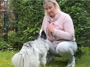 Gemeinsam stark – Finde Unterstützung für dich und deinen Tierschutzhund