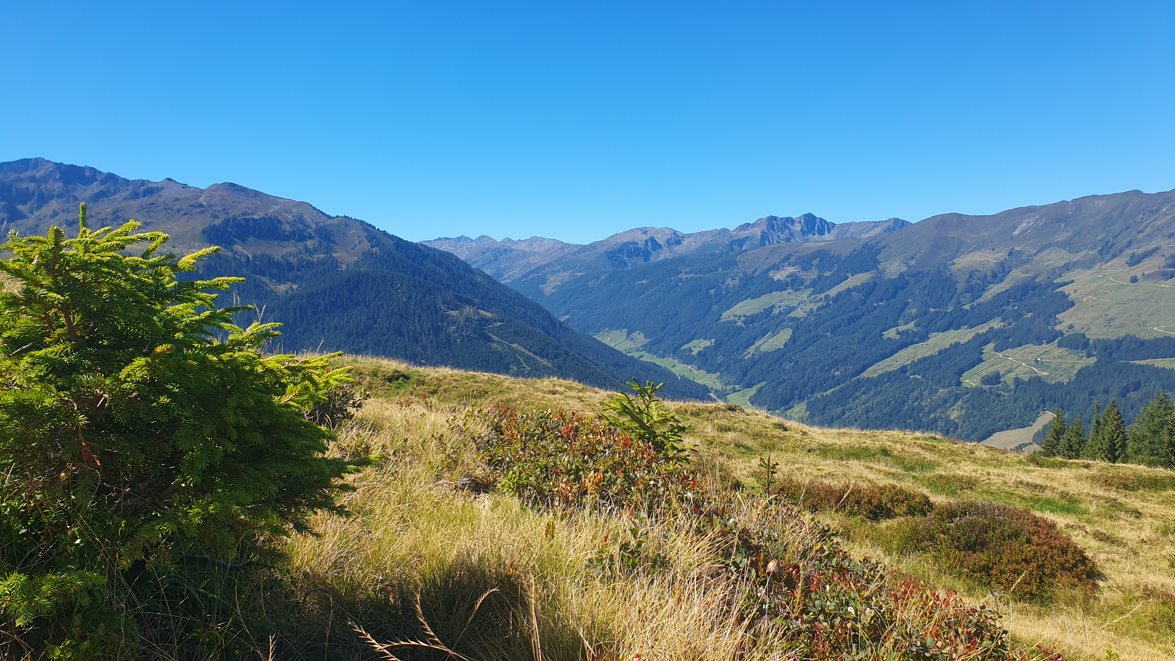 NaturVital Herbst – vier Wochen für dich und deine Lebenslandkarte